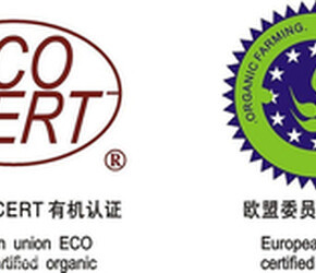 太原地理標志商標代理 守護地方特色，助力品牌崛起